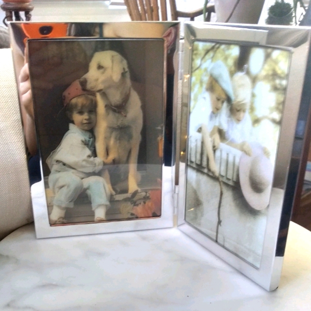 Chrome double picture frame
